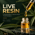 Live Resin Cannabis Derived Terpenes