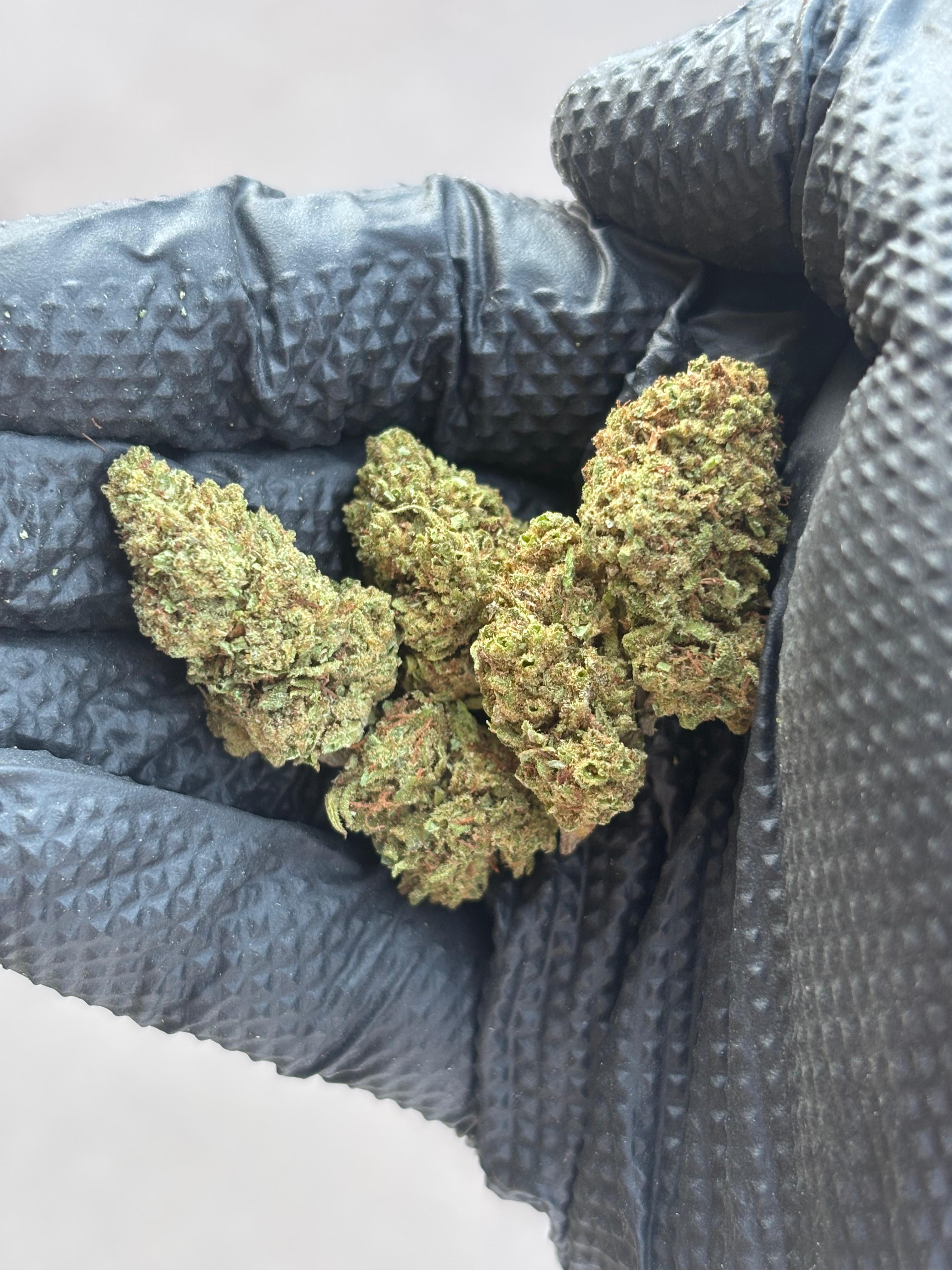 Smokey Mountain Haze Outdoor CBD Flower