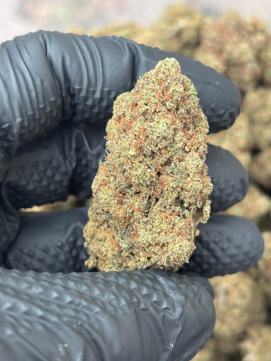 Amnesia Haze Infused Indoor CBD Flower