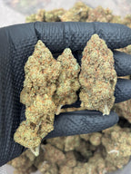 Amnesia Haze Infused Indoor CBD Flower