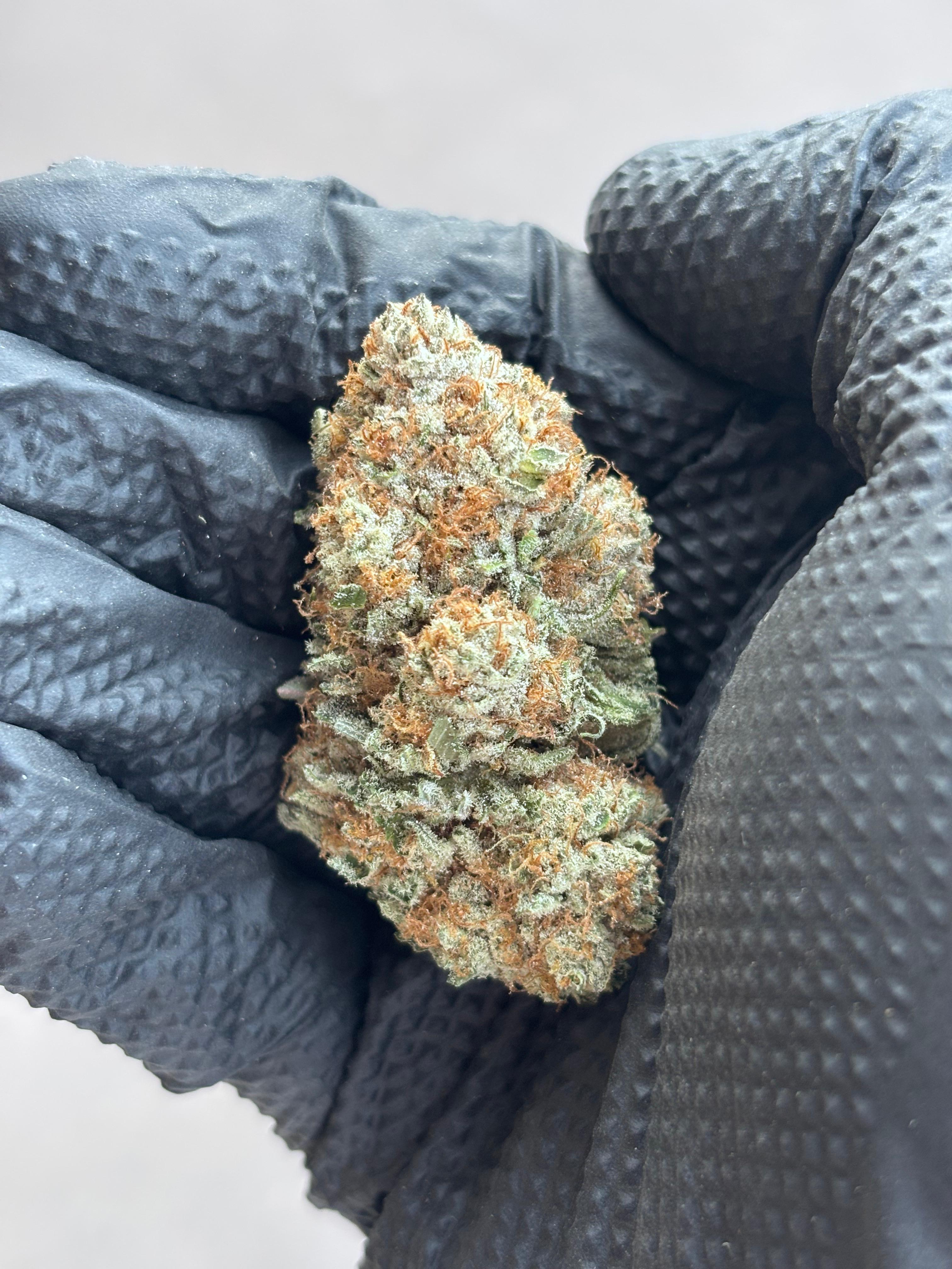 White Russian Indoor CBD Flower
