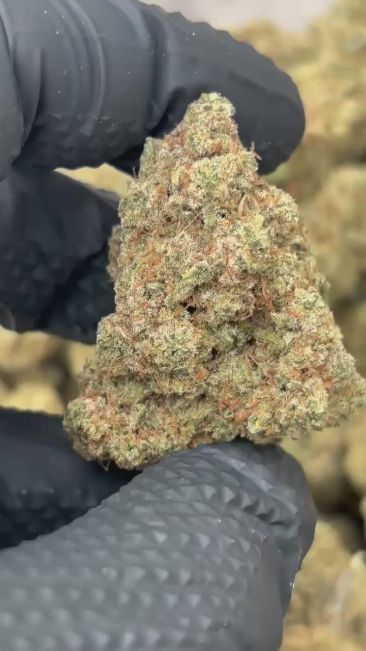 Amnesia Haze Infused Indoor CBD Flower